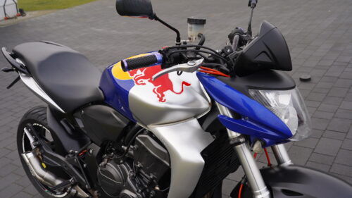 HONDA, HORNET  600   — RedBull