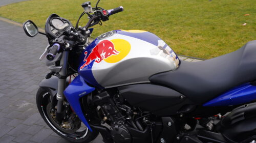HONDA, HORNET  600   — RedBull