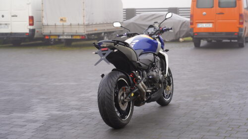 HONDA, HORNET  600   — RedBull