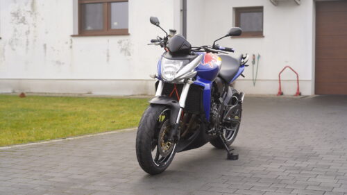 HONDA, HORNET  600   — RedBull