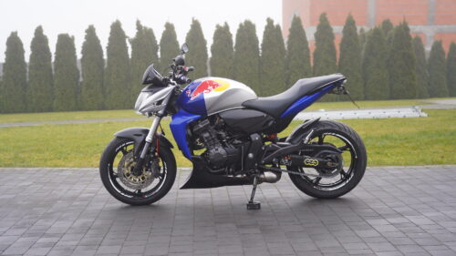 HONDA, HORNET  600   — RedBull